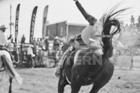 Binbrook Fair - Ram Rodeo Tour - Rodeo Photographer - Equine Photographer - Petes Photography or Petes Western - September 14 2024