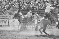 Binbrook Fair - Ram Rodeo Tour - Rodeo Photographer - Equine Photographer - Petes Photography or Petes Western - September 14 2024