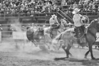 Binbrook Fair - Ram Rodeo Tour - Rodeo Photographer - Equine Photographer - Petes Photography or Petes Western - September 14 2024