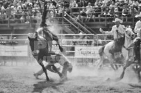 Binbrook Fair - Ram Rodeo Tour - Rodeo Photographer - Equine Photographer - Petes Photography or Petes Western - September 14 2024