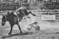 Binbrook Fair - Ram Rodeo Tour - Rodeo Photographer - Equine Photographer - Petes Photography or Petes Western - September 14 2024