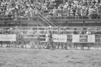 Binbrook Fair - Ram Rodeo Tour - Rodeo Photographer - Equine Photographer - Petes Photography or Petes Western - September 14 2024