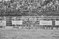 Binbrook Fair - Ram Rodeo Tour - Rodeo Photographer - Equine Photographer - Petes Photography or Petes Western - September 14 2024