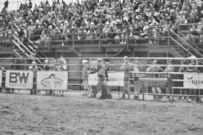 Binbrook Fair - Ram Rodeo Tour - Rodeo Photographer - Equine Photographer - Petes Photography or Petes Western - September 14 2024