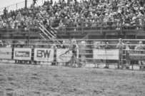 Binbrook Fair - Ram Rodeo Tour - Rodeo Photographer - Equine Photographer - Petes Photography or Petes Western - September 14 2024