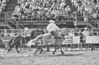 Binbrook Fair - Ram Rodeo Tour - Rodeo Photographer - Equine Photographer - Petes Photography or Petes Western - September 14 2024