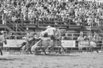 Binbrook Fair - Ram Rodeo Tour - Rodeo Photographer - Equine Photographer - Petes Photography or Petes Western - September 14 2024