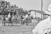 Binbrook Fair - Ram Rodeo Tour - Rodeo Photographer - Equine Photographer - Petes Photography or Petes Western - September 14 2024