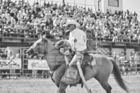 Binbrook Fair - Ram Rodeo Tour - Rodeo Photographer - Equine Photographer - Petes Photography or Petes Western - September 14 2024