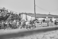 Binbrook Fair - Ram Rodeo Tour - Rodeo Photographer - Equine Photographer - Petes Photography or Petes Western - September 14 2024