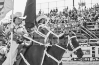 Binbrook Fair - Ram Rodeo Tour - Rodeo Photographer - Equine Photographer - Petes Photography or Petes Western - September 14 2024