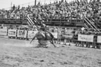 Binbrook Fair - Ram Rodeo Tour - Rodeo Photographer - Equine Photographer - Petes Photography or Petes Western - September 14 2024