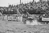 Binbrook Fair - Ram Rodeo Tour - Rodeo Photographer - Equine Photographer - Petes Photography or Petes Western - September 14 2024