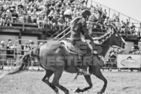 Binbrook Fair - Ram Rodeo Tour - Rodeo Photographer - Equine Photographer - Petes Photography or Petes Western - September 14 2024