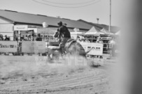 Binbrook Fair - Ram Rodeo Tour - Rodeo Photographer - Equine Photographer - Petes Photography or Petes Western - September 14 2024