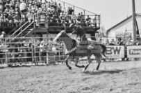 Binbrook Fair - Ram Rodeo Tour - Rodeo Photographer - Equine Photographer - Petes Photography or Petes Western - September 14 2024