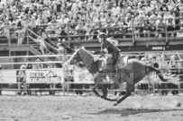 Binbrook Fair - Ram Rodeo Tour - Rodeo Photographer - Equine Photographer - Petes Photography or Petes Western - September 14 2024