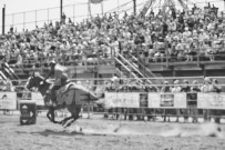 Binbrook Fair - Ram Rodeo Tour - Rodeo Photographer - Equine Photographer - Petes Photography or Petes Western - September 14 2024