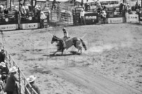 Binbrook Fair - Ram Rodeo Tour - Rodeo Photographer - Equine Photographer - Petes Photography or Petes Western - September 14 2024