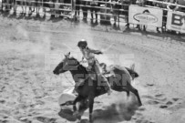 Binbrook Fair - Ram Rodeo Tour - Rodeo Photographer - Equine Photographer - Petes Photography or Petes Western - September 14 2024