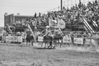 Binbrook Fair - Ram Rodeo Tour - Rodeo Photographer - Equine Photographer - Petes Photography or Petes Western - September 14 2024