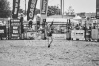 Binbrook Fair - Ram Rodeo Tour - Rodeo Photographer - Equine Photographer - Petes Photography or Petes Western - September 14 2024