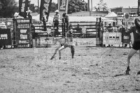 Binbrook Fair - Ram Rodeo Tour - Rodeo Photographer - Equine Photographer - Petes Photography or Petes Western - September 14 2024