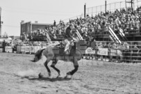 Binbrook Fair - Ram Rodeo Tour - Rodeo Photographer - Equine Photographer - Petes Photography or Petes Western - September 14 2024