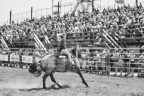 Binbrook Fair - Ram Rodeo Tour - Rodeo Photographer - Equine Photographer - Petes Photography or Petes Western - September 14 2024