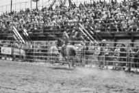 Binbrook Fair - Ram Rodeo Tour - Rodeo Photographer - Equine Photographer - Petes Photography or Petes Western - September 14 2024