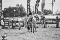 Binbrook Fair - Ram Rodeo Tour - Rodeo Photographer - Equine Photographer - Petes Photography or Petes Western - September 14 2024