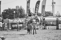 Binbrook Fair - Ram Rodeo Tour - Rodeo Photographer - Equine Photographer - Petes Photography or Petes Western - September 14 2024