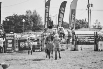 Binbrook Fair - Ram Rodeo Tour - Rodeo Photographer - Equine Photographer - Petes Photography or Petes Western - September 14 2024