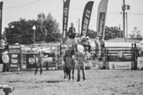 Binbrook Fair - Ram Rodeo Tour - Rodeo Photographer - Equine Photographer - Petes Photography or Petes Western - September 14 2024