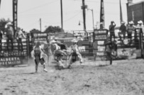 Binbrook Fair - Ram Rodeo Tour - Rodeo Photographer - Equine Photographer - Petes Photography or Petes Western - September 14 2024