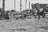 Binbrook Fair - Ram Rodeo Tour - Rodeo Photographer - Equine Photographer - Petes Photography or Petes Western - September 14 2024