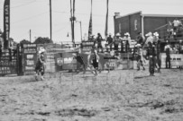 Binbrook Fair - Ram Rodeo Tour - Rodeo Photographer - Equine Photographer - Petes Photography or Petes Western - September 14 2024