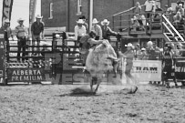 Binbrook Fair - Ram Rodeo Tour - Rodeo Photographer - Equine Photographer - Petes Photography or Petes Western - September 14 2024