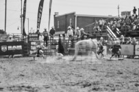 Binbrook Fair - Ram Rodeo Tour - Rodeo Photographer - Equine Photographer - Petes Photography or Petes Western - September 14 2024