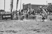 Binbrook Fair - Ram Rodeo Tour - Rodeo Photographer - Equine Photographer - Petes Photography or Petes Western - September 14 2024