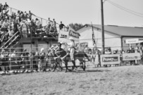 Binbrook Fair - Ram Rodeo Tour - Rodeo Photographer - Equine Photographer - Petes Photography or Petes Western - September 14 2024