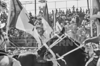 Binbrook Fair - Ram Rodeo Tour - Rodeo Photographer - Equine Photographer - Petes Photography or Petes Western - September 14 2024