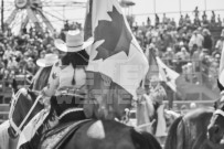 Binbrook Fair - Ram Rodeo Tour - Rodeo Photographer - Equine Photographer - Petes Photography or Petes Western - September 14 2024