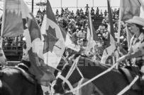 Binbrook Fair - Ram Rodeo Tour - Rodeo Photographer - Equine Photographer - Petes Photography or Petes Western - September 14 2024