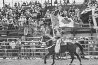 Binbrook Fair - Ram Rodeo Tour - Rodeo Photographer - Equine Photographer - Petes Photography or Petes Western - September 14 2024