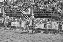 Binbrook Fair - Ram Rodeo Tour - Rodeo Photographer - Equine Photographer - Petes Photography or Petes Western - September 14 2024