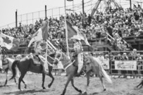 Binbrook Fair - Ram Rodeo Tour - Rodeo Photographer - Equine Photographer - Petes Photography or Petes Western - September 14 2024