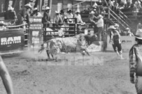 Binbrook Fair - Ram Rodeo Tour - Rodeo Photographer - Equine Photographer - Petes Photography or Petes Western - September 14 2024