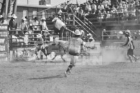 Binbrook Fair - Ram Rodeo Tour - Rodeo Photographer - Equine Photographer - Petes Photography or Petes Western - September 14 2024