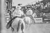 Binbrook Fair - Ram Rodeo Tour - Rodeo Photographer - Equine Photographer - Petes Photography or Petes Western - September 14 2024